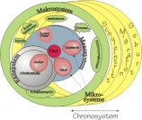 okosystembronfenbrenner